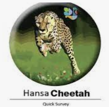 Hansa Cheeta